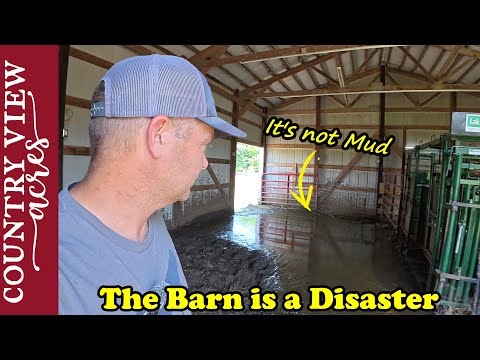 We Have a Crappy Situation in the Barn.  Finally Burning the Brush Pile