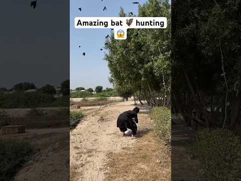 Amazing bat 🦇 hunting 😱 #birdhunting #hunting #farming #entertainment #shorts #viralshorts #birds