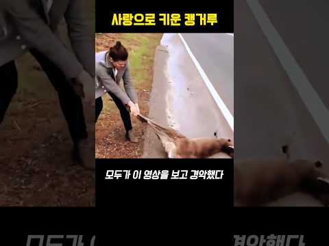 이게 사랑아닐까