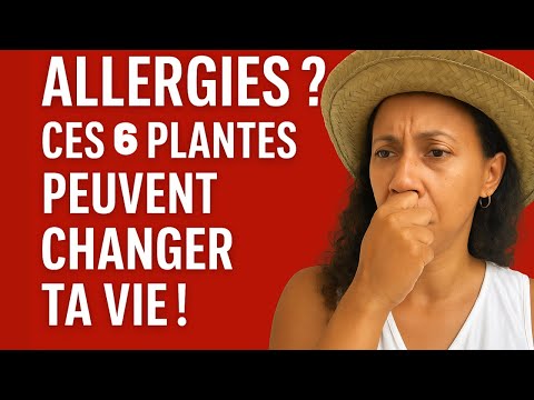 Tu fais des allergies ? Ces 6 plantes peuvent changer ta vie !
