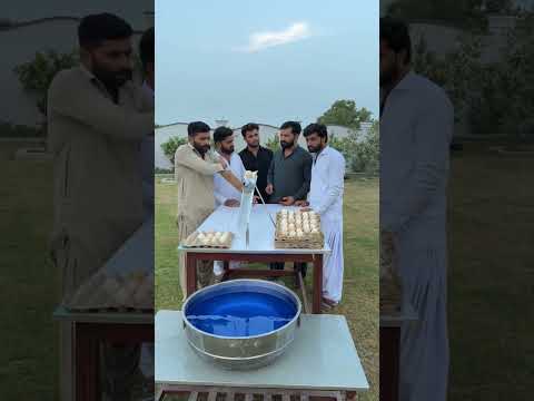 Anda Kaha Jaye Ga🥚 The Egg Game #shortvideos