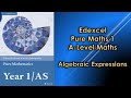 Algebraic Expressions and Simplifications