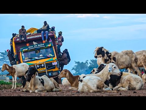 In Central Africa, Risk Is a Way of Life | Deadliest Journeys