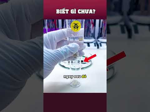 Nhà khoa học đã làm gì với con Virus này