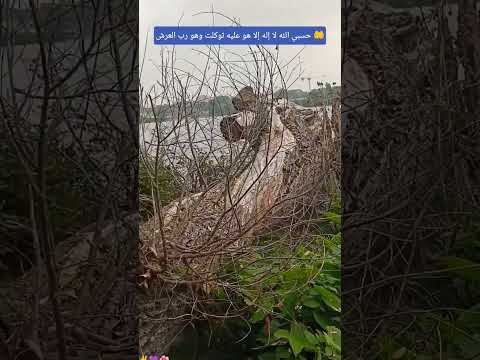 ุนููู ุฃูุถู ุงูุตูุงุฉ ูุงูุณูุงู
ูุนูู ุขูู ู ุฃุตุญุงุจู ุงูุทูุจูู ุงูุทุงูุฑูู ุงุฌู
ุนูู #ุตููุง_ุนูู_ุงููุจู #ุงูุณุจููุฑ