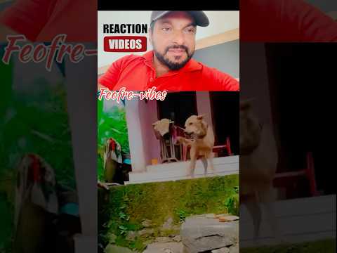 അമ്മച്ചി വീട്ടിൽ ഉള്ള ആളോട് പറഞ്ഞിട്ട് വേണം വെളിയിൽ പോകാൻ #shorts