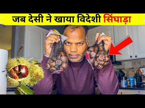 Indian Singhara vs American Chestnut - Better or Worse