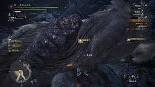 Monster Hunter World: Iceborne_20190907152636