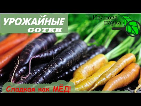 Сделайте это с морковью и она будет сладкой, без трещин и бороды!