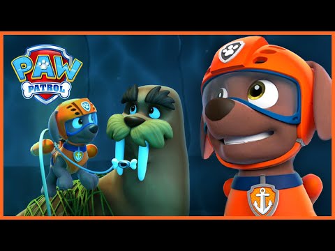 Como é que as crias vão salvar esta morsa presa? - Patrulha Pata PAW Patrol Episódio Português