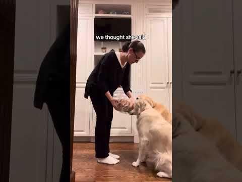 Why we always check, even if she’s passed it before…