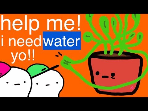 Water Me Fool! (with DashieGames)
