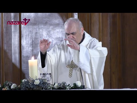 Santa Misa de hoy jueves 21 de noviembre de 2024. Rvdo. Enric Ribas, pbro.