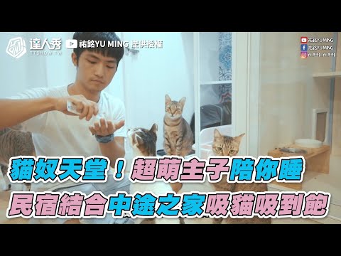 【貓奴天堂！超萌主子陪你睡 民宿結合中途之家吸貓吸到飽】｜@祐銘YU MING