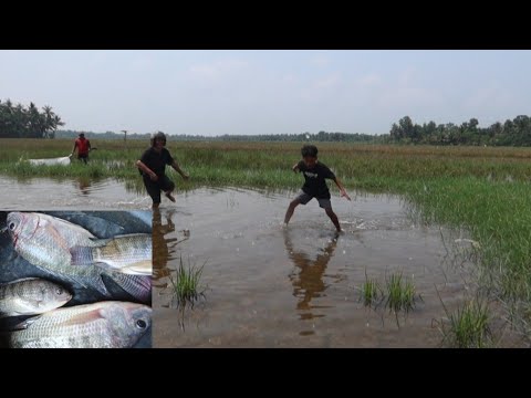 Cuaca EXTRIME jadi rebutan ikan gasah