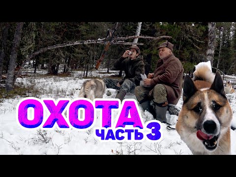 МЕСЯЦ В ТАЙГЕ: КЕДРОВЫЙ ОРЕХ, МОКРЫЙ СНЕГ И БОРЩ