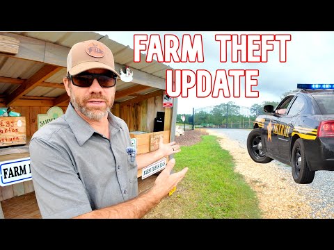 What's Happened After the Farm Theft? The Latest Update