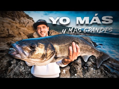 La COMPETITIVIDAD en la PESCA NO es SANA (?)  | 𝙇𝙪𝙧𝙚𝙙𝘾𝙖𝙨𝙩 𝐏𝐨𝐝𝐜𝐚𝐬𝐭 #2