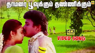 Thamarai Poovukum Video Song | Sujatha Mohan Krishnachandran | Pasumpon | Vidyasagar