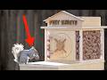 Exploring the Backyard Squirrel Maze Challenge