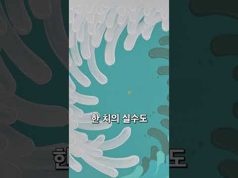 해외에서 릴스 1000만 뷰 찍은 작가