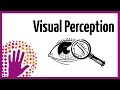 Visual Perception and Processing Concepts