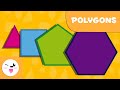 Understanding Polygons and Their Properties