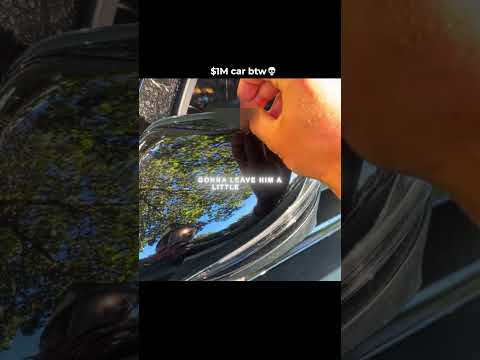 Not the chameleon lick😭🙏@brezscales #brezscales #brez