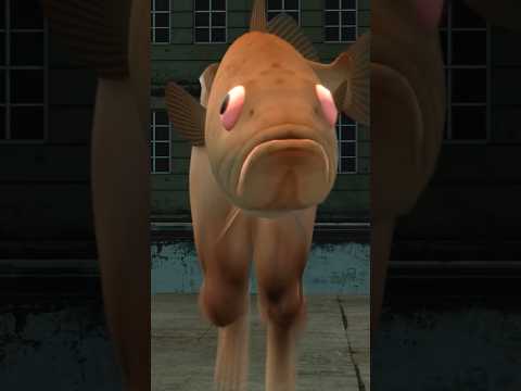 The Fish 9 (full episode)