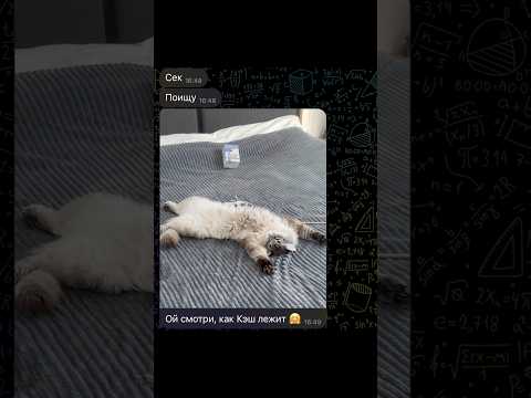 Самое время 🤣 правда?