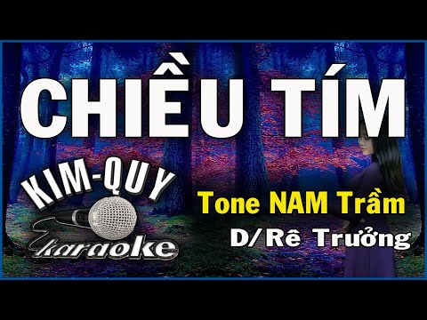 CHIỀU TÍM – KARAOKE – Tone NAM Trầm ( D/Rê Trưởng )