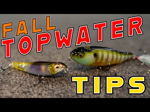 3 Quick Tricks For Fall Topwater Fishing!!