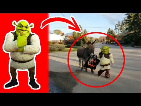 SHREK Captados en CÁMARA en la Vida Real