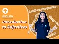 Understanding Adjectives and Modifiers