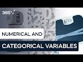 Types of Data and Their Characteristics