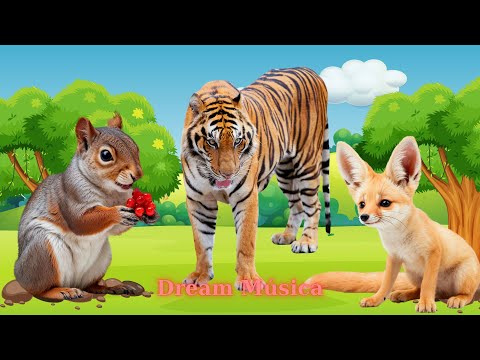 Cute Animal Sounds - Fox, Tiger, Quail, Puma, Polecat- Familiar Animals