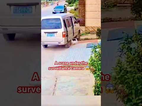A scene under the surveillance camera ๐ฑ๐๐๐ป #poordog #poordogs #cutedog #lovedog #dogshorts #cat