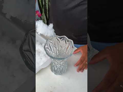 plante espada de são Jorge no hidrogel