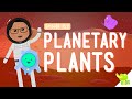 Plant Life and Adaptations