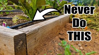 Why Do My Raised Beds Dry Out So Fast? 5 Raised Bed Watering Mistakes.