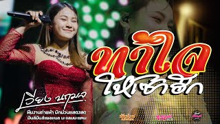 เต้นม่วนๆ💥เซาเหล้าจังเว่ากัน+ทำใจให้เซาฮัก/แยกทางเพราะห่างเหิน/บ่โสดบ่อนุญาตให้จีบ เวียง นฤมล