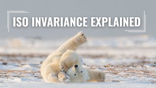 What is ISO Invariance?