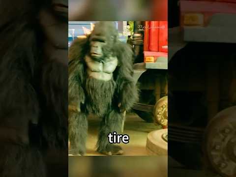 يحاول الرجل المتخفي في زي غوريلا الهرب من البلاد، لكن السائق ظن أنه غوريلا حقيقية #shorts #شورتس