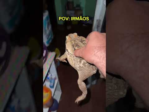 Vídeo de susto!😱😂