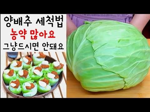 양배추 농약 그냥 드실거예요?/양배추 세척법,양배추 보관법/참치쌈장 만들기/양배추롤밥 만들기