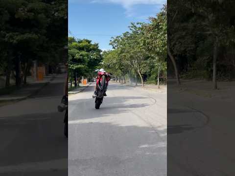 GRAU INSANO NA S1000 #s1000rr #grau #motorcycle #motos #299