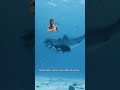 Shark Exploration and Conservation