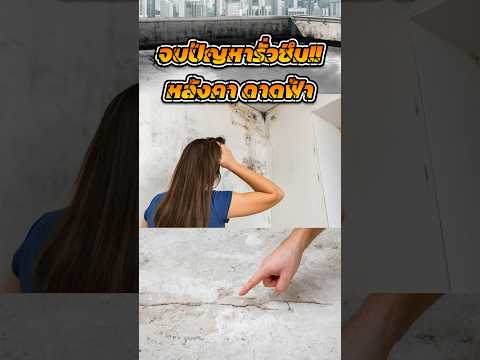 หยุดปัญหาดาดฟ้าตึกเก่ารั่วซ้ำซาก!!toa201roofsealtoaสีกันซึมก