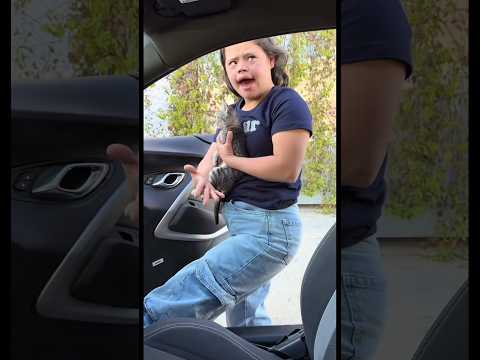 Queeee 😩 #fabiolalideo #hueleperron #lupita#comedia #contenido