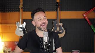 When You're Gone - The Cranberries (cover)